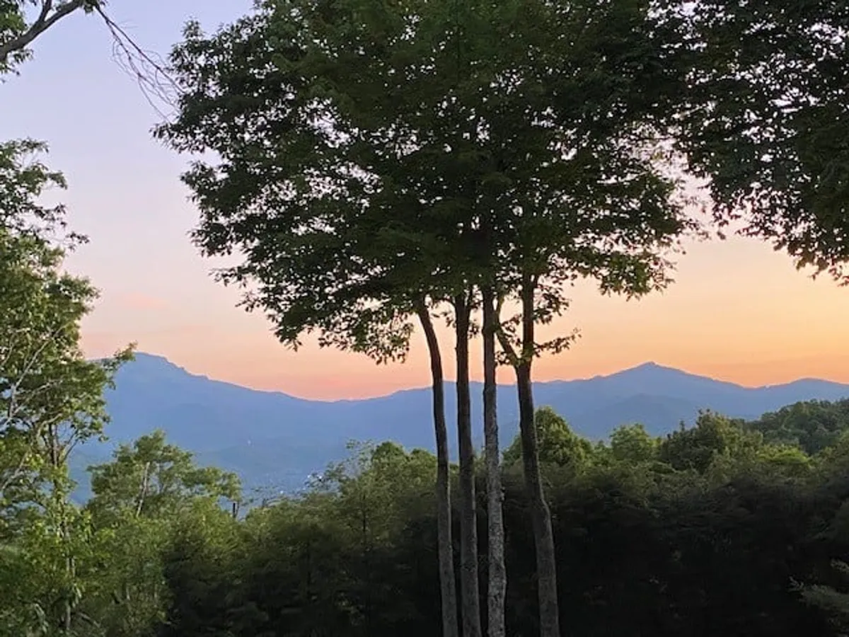 Silhouetted trees frame a panoramic mountain range beneath a dramatic sunset sky. The scene evokes serenity, perfect for capturing moments of awe and reflection at day’s end.